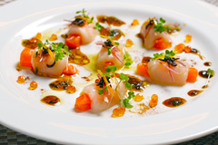 Hotate Salmon Carpaccio